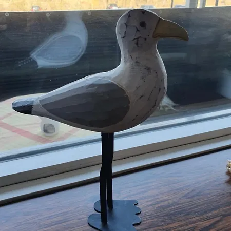 Belvedere Belvedere App 4